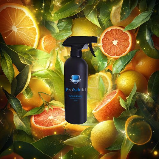 Raumspray - Citrus Delight - Room Spray