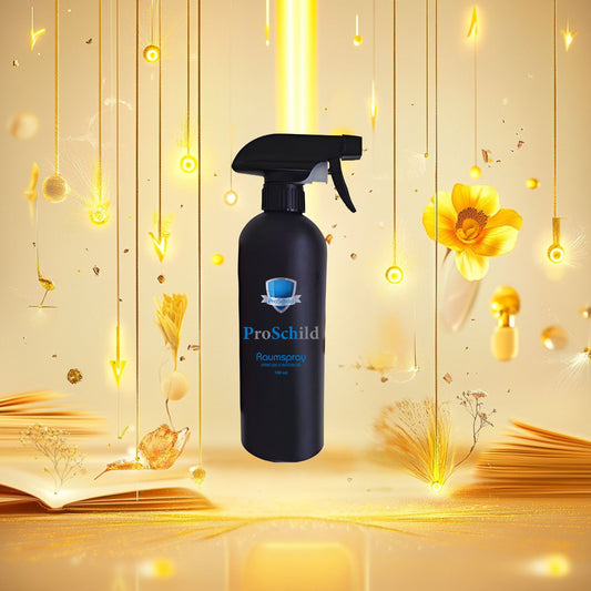 Raumspray - Focus Boost - Room Spray